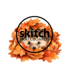 Skitch Skateboards - Home